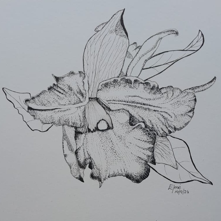 A5 Rhyncattleanthe ink