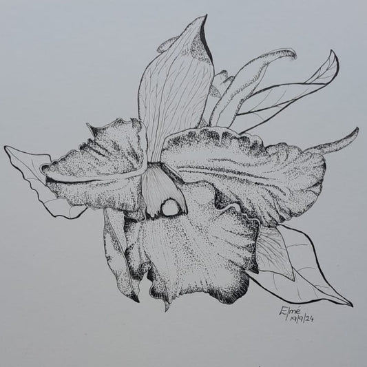 A5 Rhyncattleanthe ink