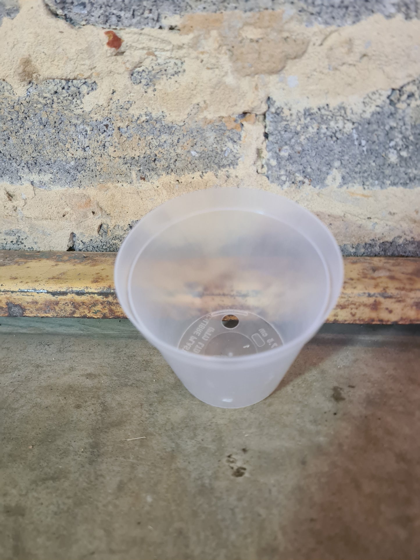 Clear plastic pot 7.5cm