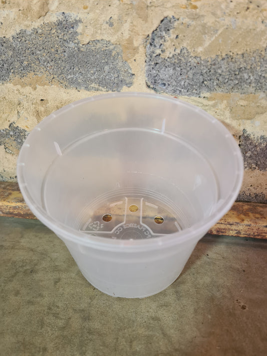 Clear plastic pot rimmed 14cm