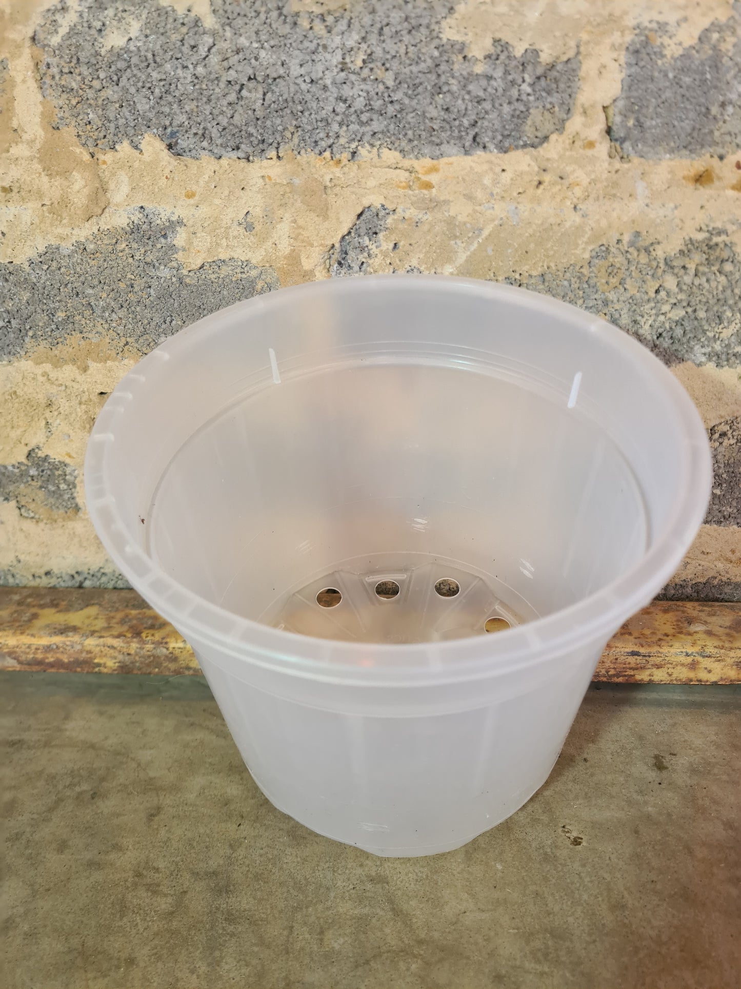 Clear plastic pot rimmed 16.5cm