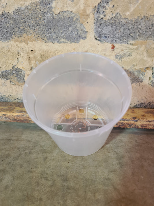 Clear plastic pot rimmed 12cm